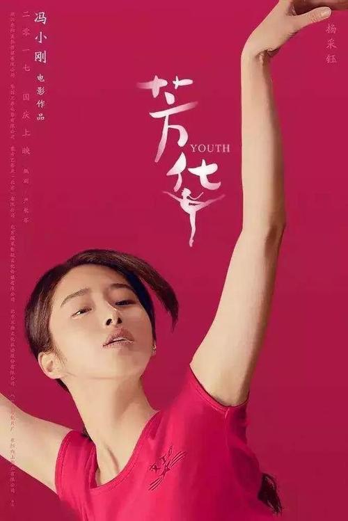 史丹森大学国际商务文凭证书